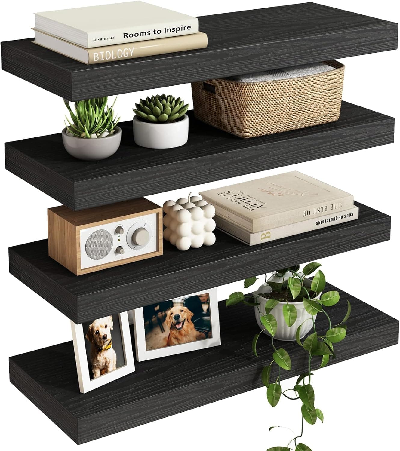 Black Floating Shelves