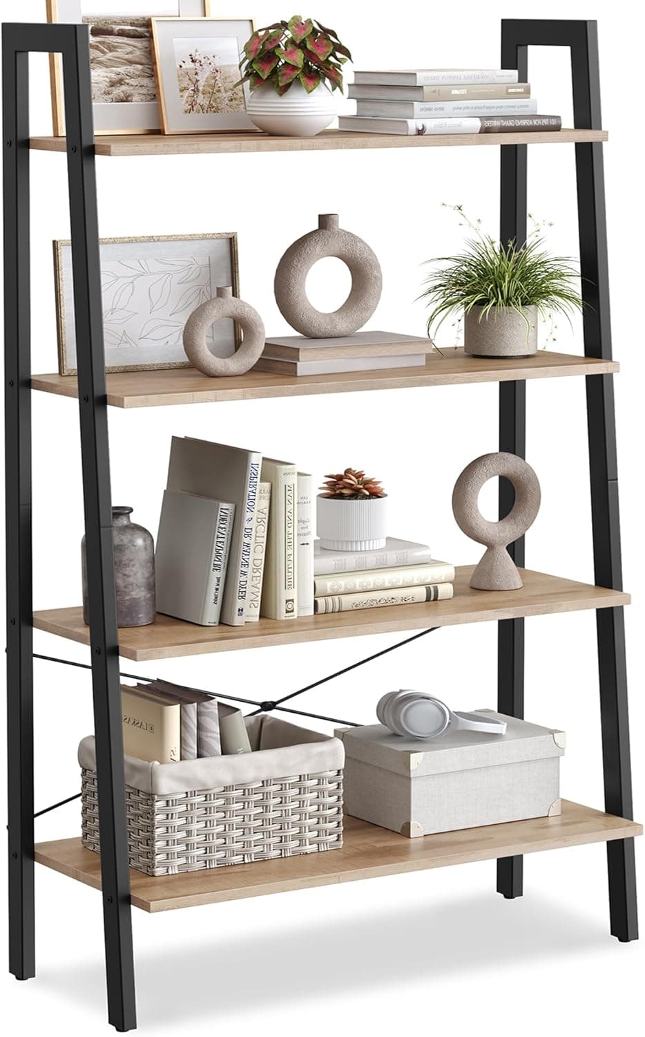 Ladder Shelf